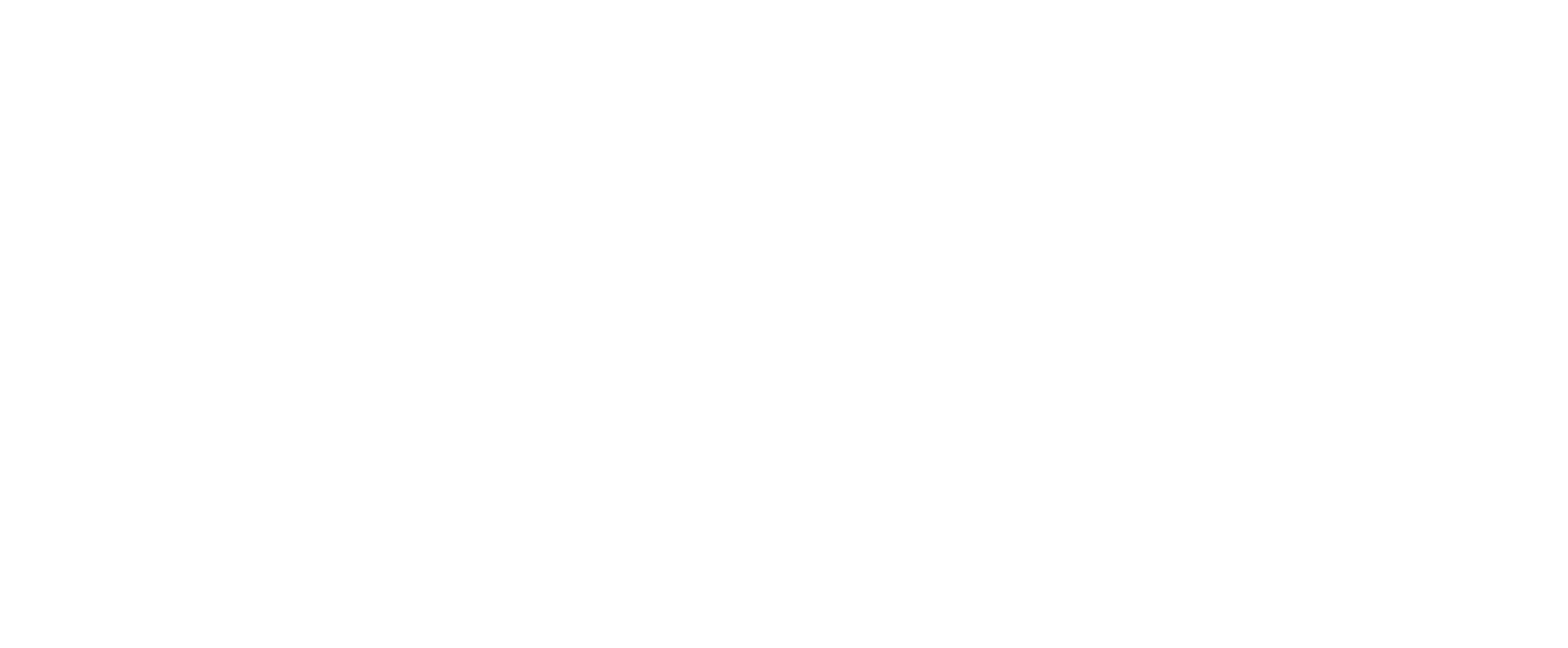 NSM Brand Media logo