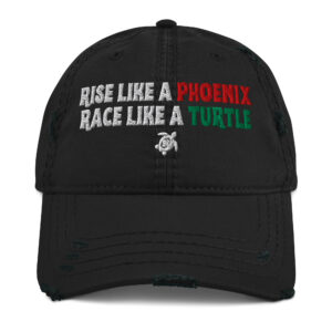 Rise Like a Phoenix, Race Like a Turtle script Hat