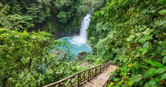 A natural waterfall cascading through a spring-fed conservation area, with a wooden boardwalk bridge guiding visitors through the lush green surroundings.